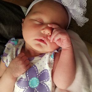 Meet your Posher, Elsa